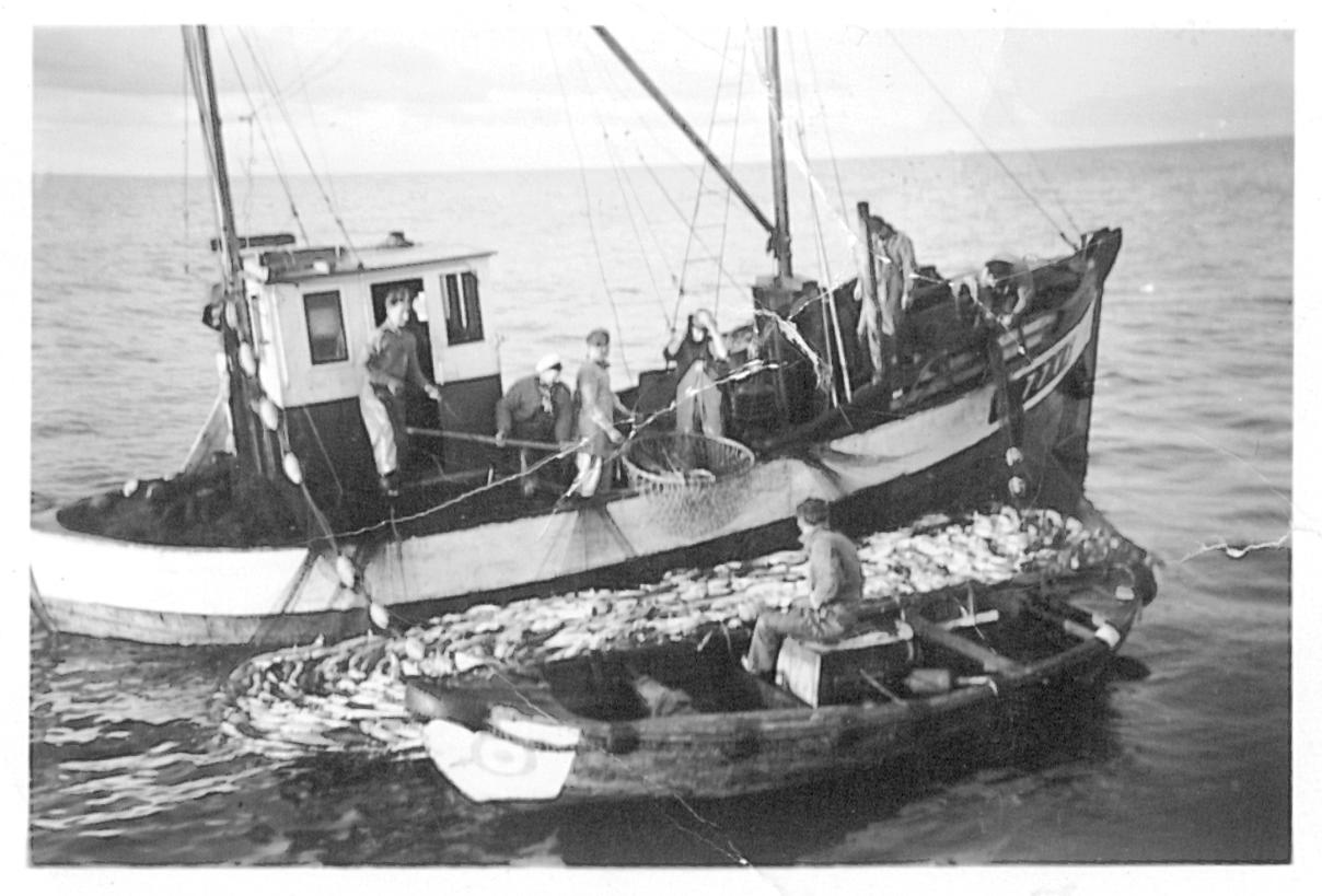 Seifiske ombord på Nystart en gang på 60-tallet